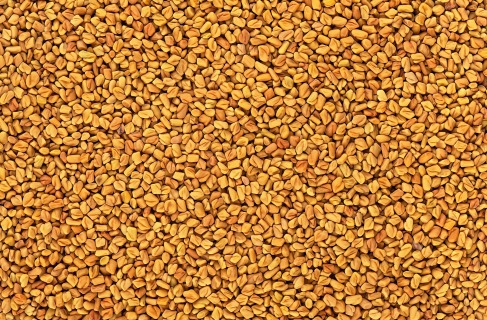 Pískavice semínko BIO 10 kg